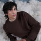 Brown Knitted Sweater